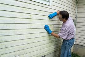 Best Storm Damage Siding Repair  in Amity, OR